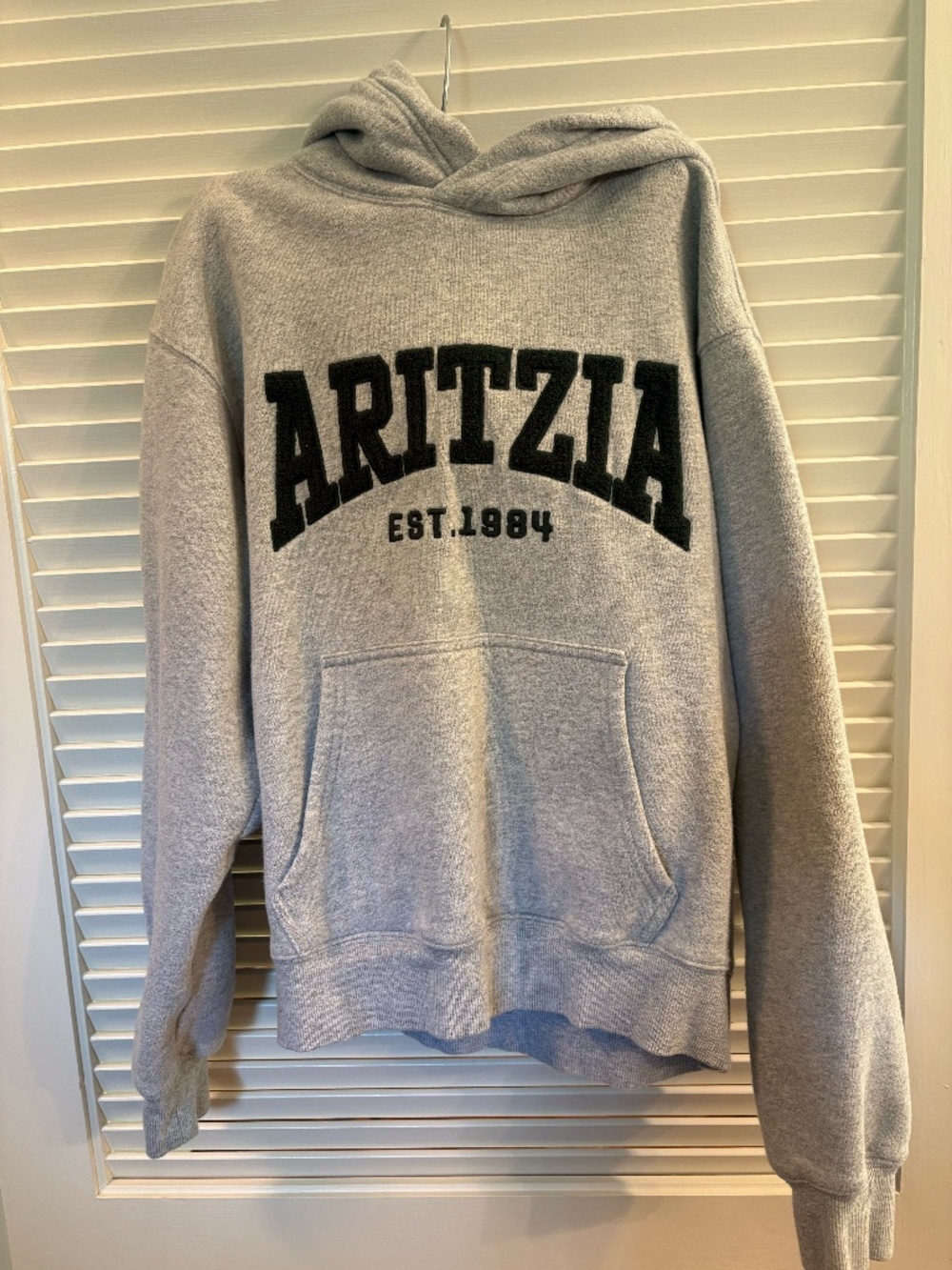 Aritzia Sweatfleece Hoodie, Grey with DARK GREEN lettering